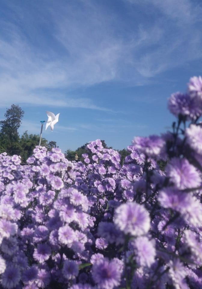 คำพูดแรกของเธอเป็นฉันได้ไหม โดย R.T. @Plotteller | พล็อตเทลเลอร์