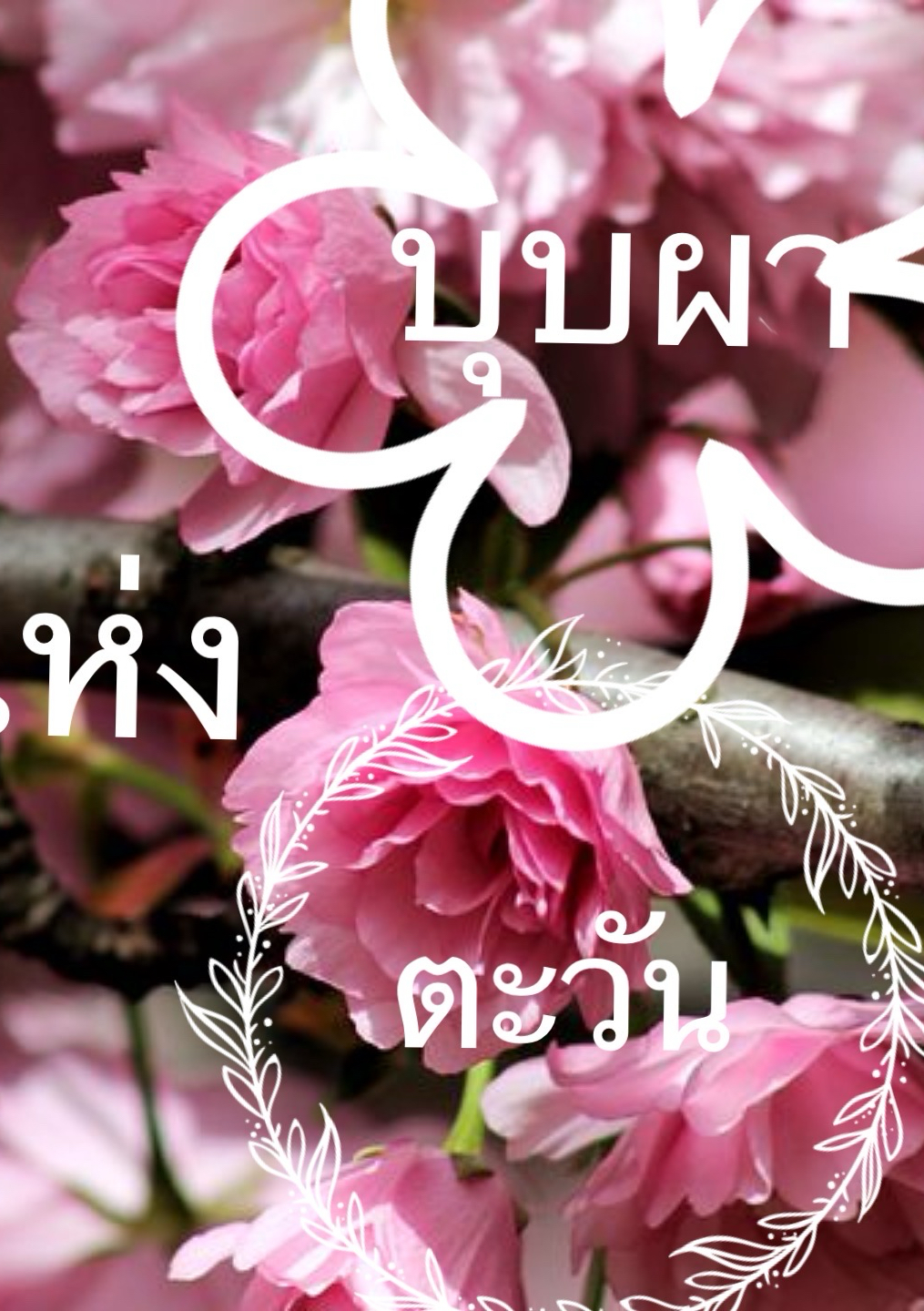 บุบผาแห่งตะวัน โดย quinny @Plotteller | พล็อตเทลเลอร์