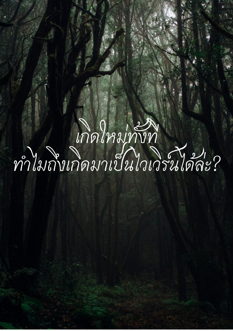  เกิดใหม่ทั้งที ทำไมถึงเกิดมาเป็นไวเวิร์นได้ล่ะ? โดย แมวเหมียวสีรุ้งในตอนเที่ยงคืน @Plotteller | พล็อตเทลเลอร์