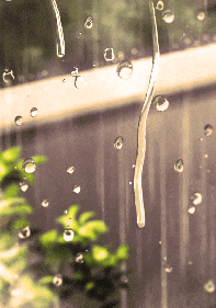 A Longing Echo of the First Tale  โดย mirim run @Plotteller | พล็อตเทลเลอร์